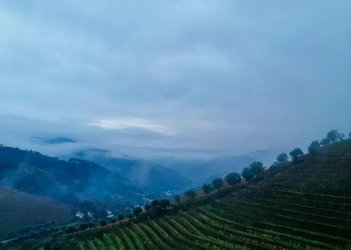 Farm stay Quinta De Baixo Vila Marim