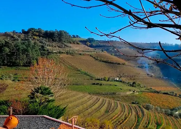 Farm stay Quinta De Baixo