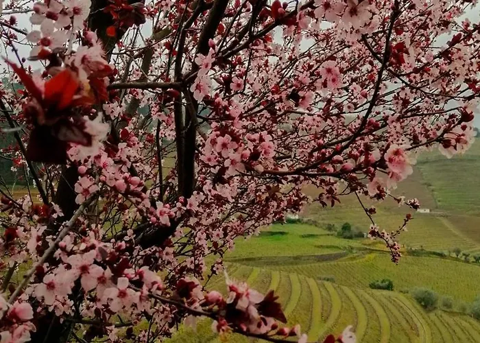 Farm stay Quinta De Baixo Vila Marim