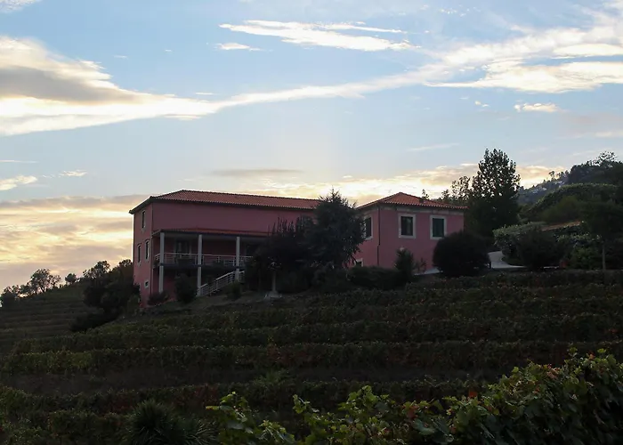 Quinta De Baixo * Vila Marim