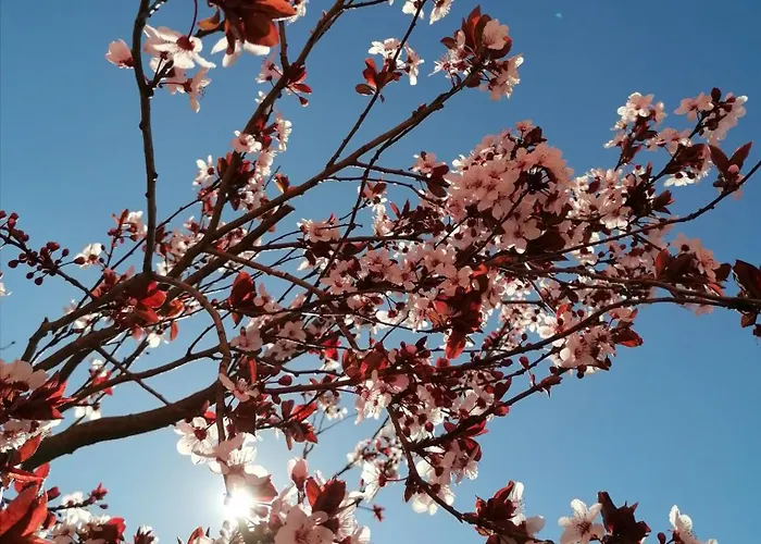 Çiftlik konaklama Quinta De Baixo Vila Marim
